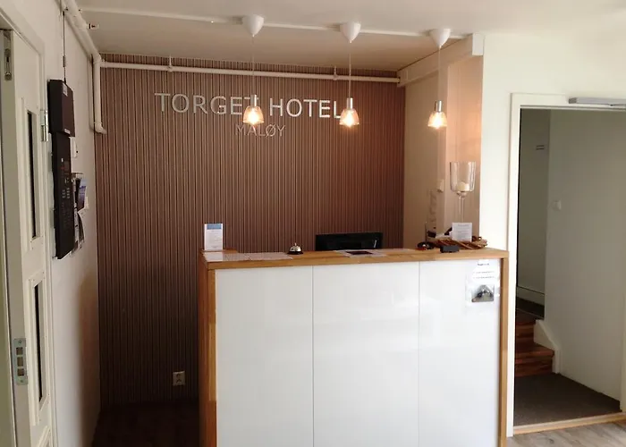 Oda ve Kahvaltı Torget Hotell 3*