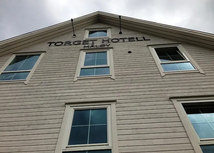 Oda ve Kahvaltı Torget Hotell 3*